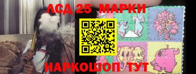 мяу мяу мука Гатчина
