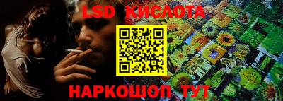 крисы Гагарин