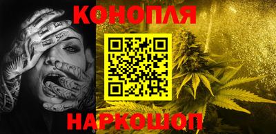 крисы Гагарин