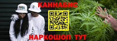 крисы Гагарин