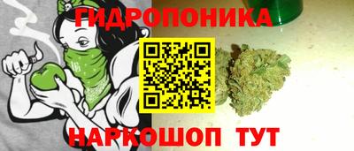 крисы Гагарин