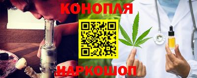 крисы Гагарин