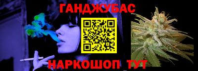 крисы Гагарин