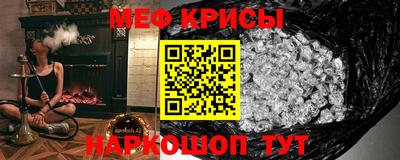 крисы Гагарин