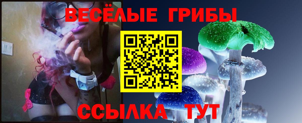 Мурманск  Псилоцибиновые грибы Psilocybe  наркошоп  Галлюциногенные грибы Psilocybe  Вход с VPN 